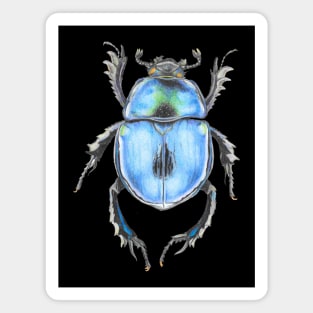 Blue Beetle Magnet